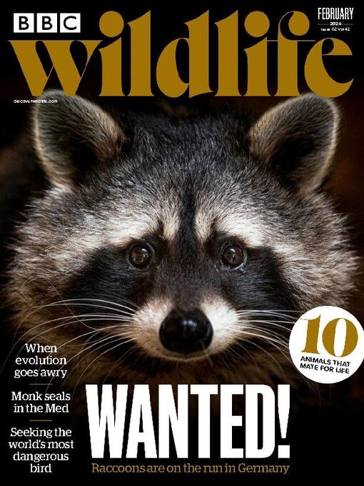 Title details for BBC Wildlife Magazine by Our Media Limited - Available